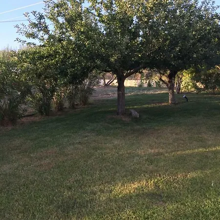 Apartamento Pelagia