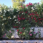 Pelagia דירה