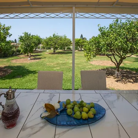 Pelagia * Σβορωνάτα