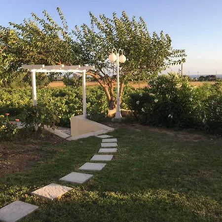 Pelagia سفوروناتا