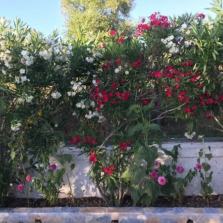 Pelagia Διαμέρισμα